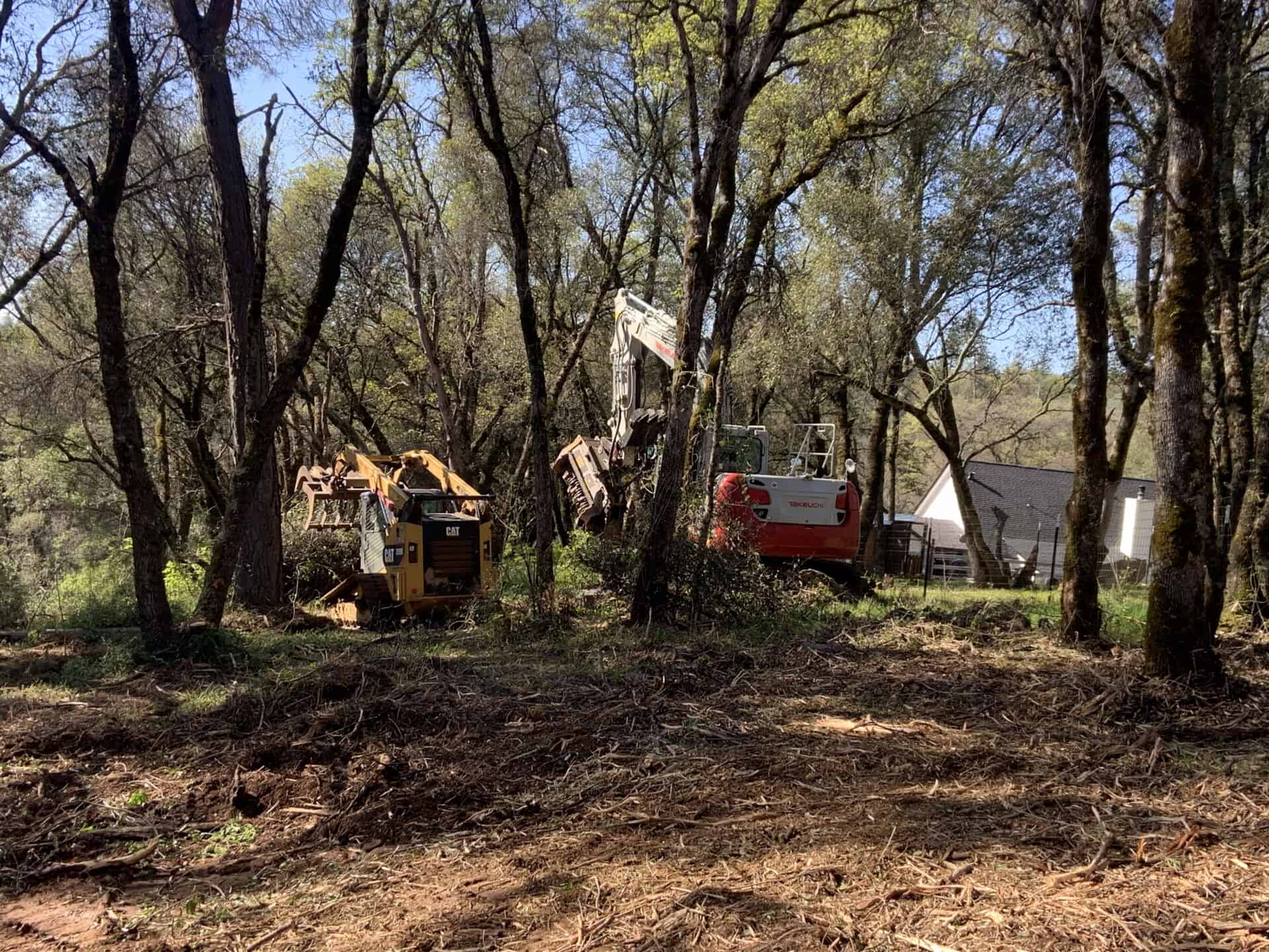 Dozer and masticator at work clearing trees and debris from forested land