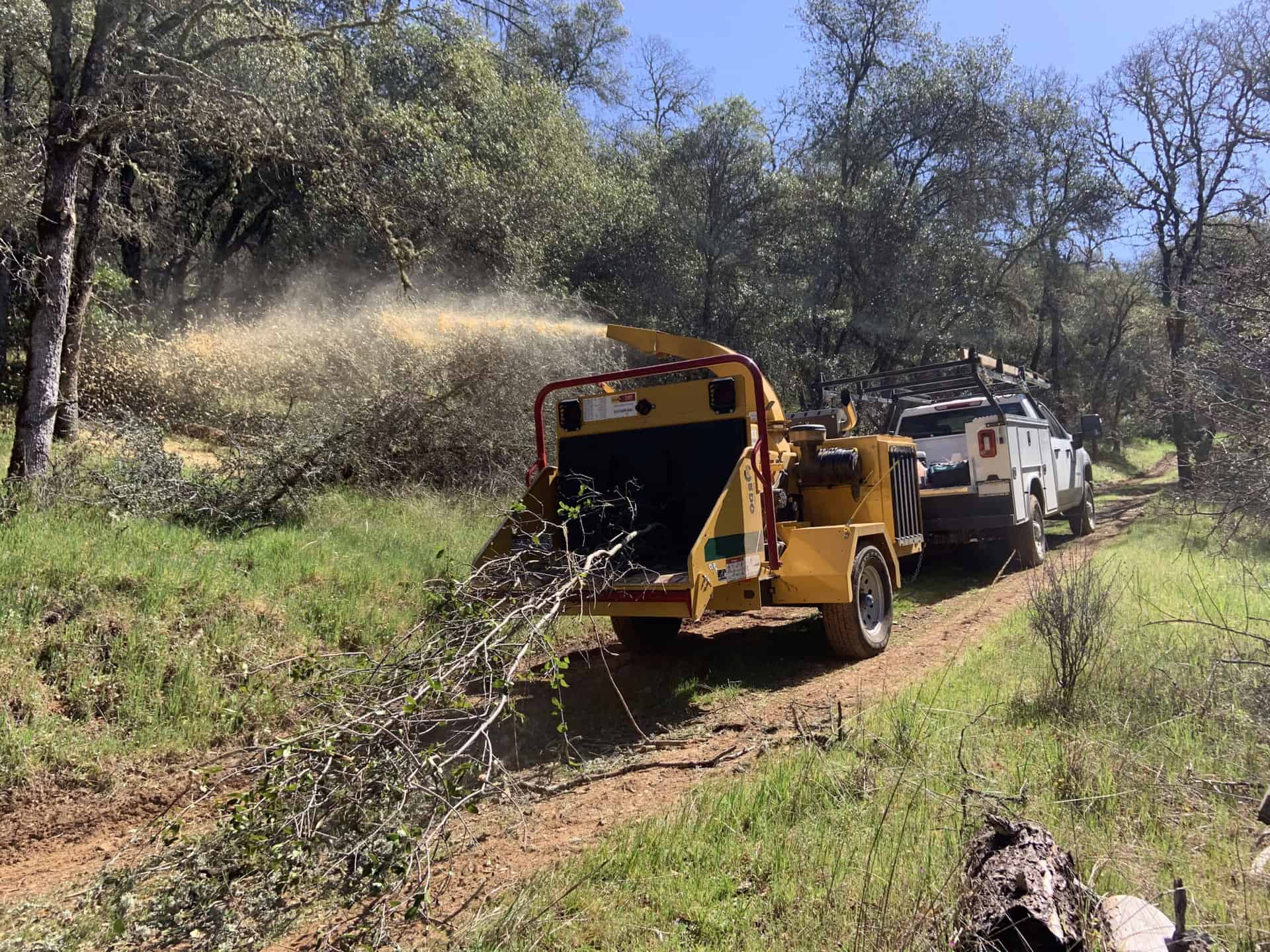 Wood chipper in operation while clearing property and trees